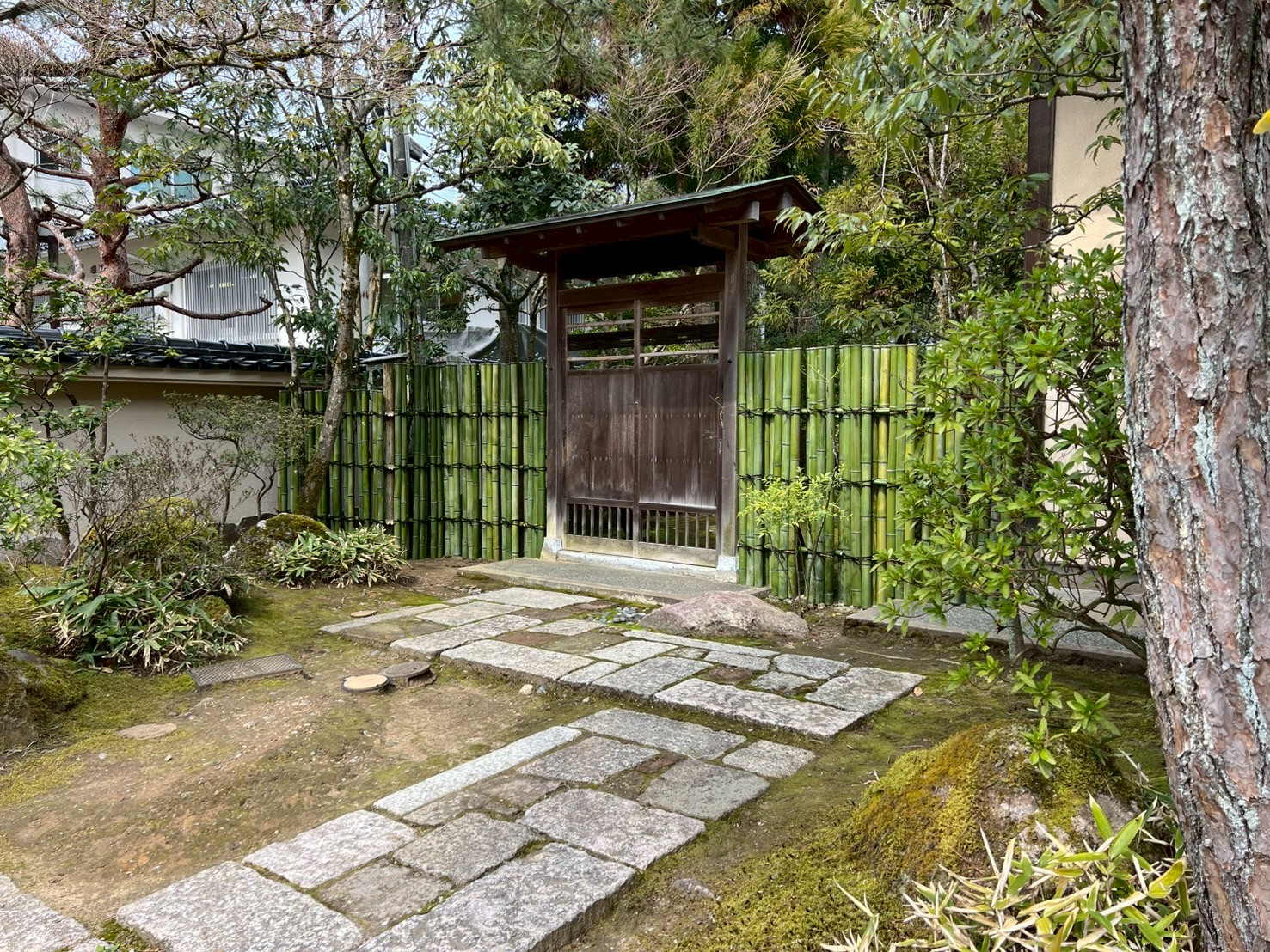 N記念館2｜竹之助の竹垣