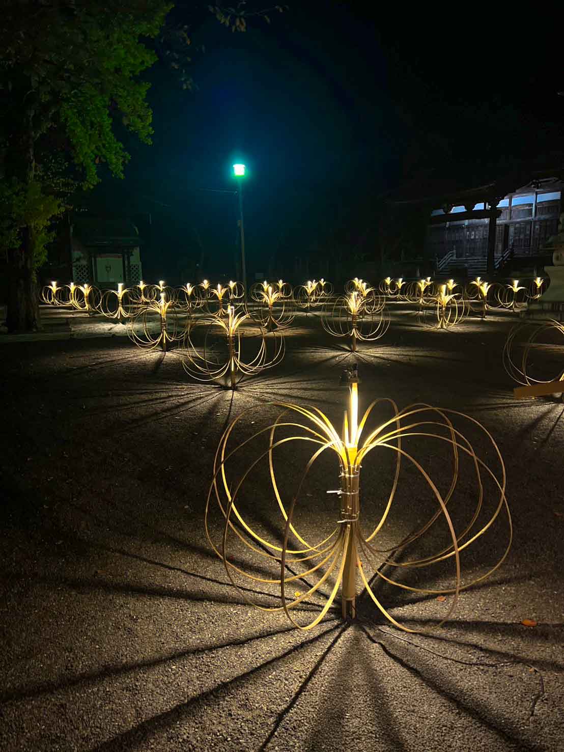 『味真野お寺びらき』イベント風景。毫摂寺の境内をやわらかな光が包み、人々が幻想的な空間を楽しむ様子。