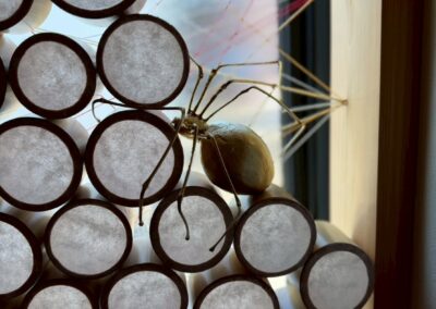 H邸 竹造形インスタレーション制作4