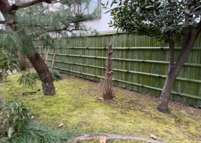 旧加賀藩士高田家跡 竹垣施工2